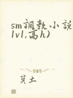 sm调教小说(1v1,高h)