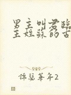 男主叫君临渊女主姓苏的古言小说