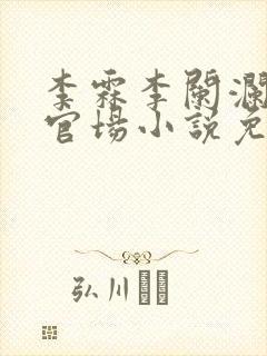 李霖李阑澜巅峰官场小说免费阅读