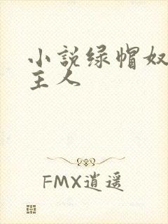 小说绿帽奴伺候主人封面