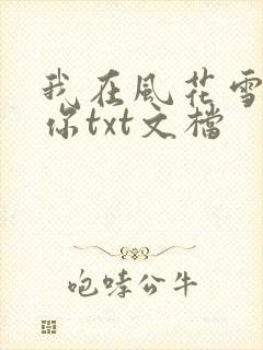 我在风花雪月等你txt文档