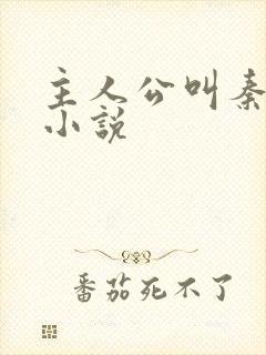 主人公叫秦齐的小说