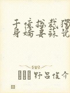 千亿总裁独宠替身娇妻苏瓷傅南城