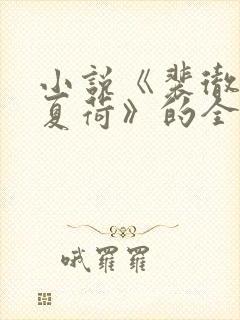 小说《裴彻江晚夏荷》的全文阅读