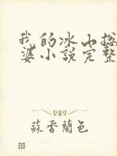 我的冰山总裁老婆小说完整版封面