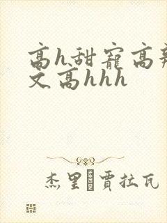 高h甜宠高辣宠文高hhh