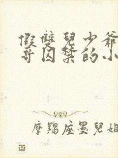 假双儿少爷被大哥囚禁的小说