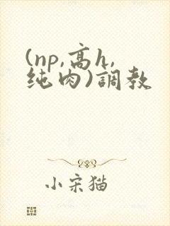 (np,高h,纯肉)调教封面