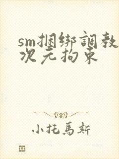 sm捆绑调教二次元拘束