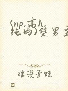 (np,高h,纯肉)双男主封面