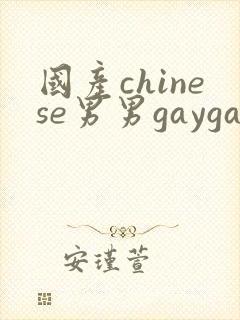 国产chinese男男gaygay网站封面