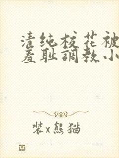 清纯校花被民工羞耻调教小说