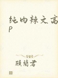 纯肉辣文高hnp