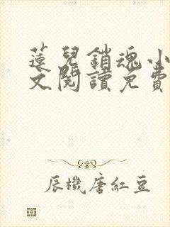 莲儿销魂小说全文阅读免费无弹窗