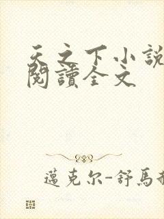 天之下小说在线阅读全文封面