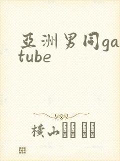 亚洲男同gaytube
