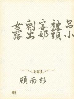 女刺客被吊起来露出奶头小说