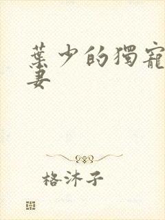 叶少的独宠小娇妻