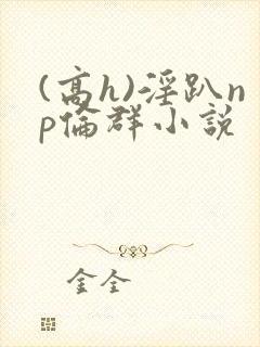 (高h)淫趴np伦群小说