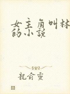 女主角叫林婉婉的小说封面