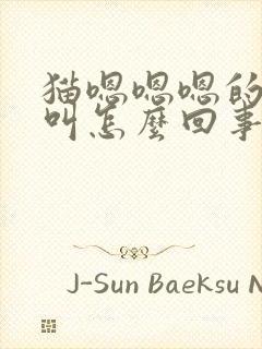 猫嗯嗯嗯的闷声叫怎么回事