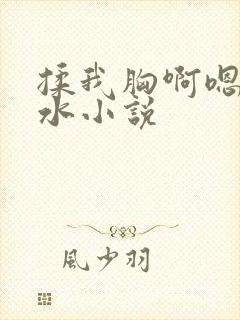 揉我胸啊嗯～喷水小说