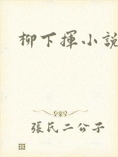 柳下挥小说