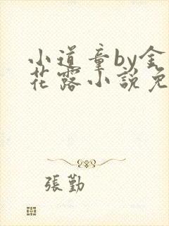 小道童by金银花露小说免费阅读笔趣阁