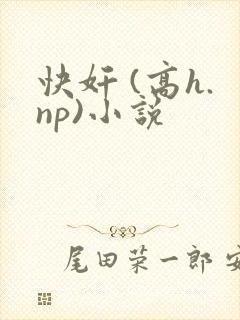 快奸 (高h.np)小说