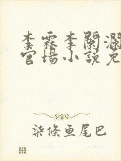 李霖李阑澜巅峰官场小说免费阅读