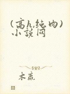 (高h,纯肉)小说网