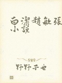 白洁赵敏张倩 小说