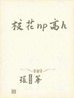 校花np高h封面