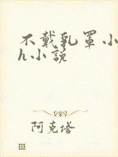 不戴乳罩小荡货h小说封面