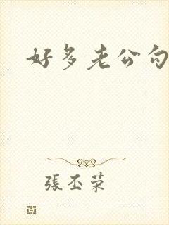 好多老公勾引h封面