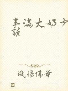 丰满大奶少妇小说