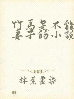 竹马是不能成为妻子的小说免费阅读