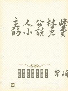 主人公林峰宁欣的小说免费阅读全文封面