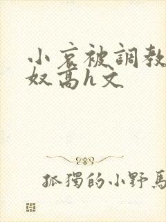 小哀被调教成肉奴高h文封面