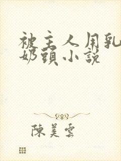 被主人用乳夹玩奶头小说