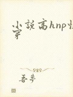 小说高hnp快穿封面