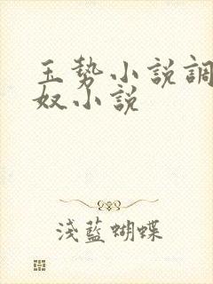 玉势小说调教男奴小说