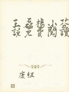 王磊杨小芬的小说免费阅读全文最新章节