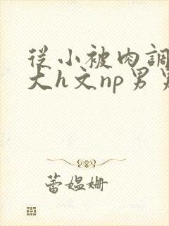 从小被肉调教到大h文np男男