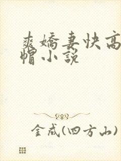 爽娇妻快高h绿帽小说