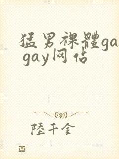 猛男裸体gay gay网站