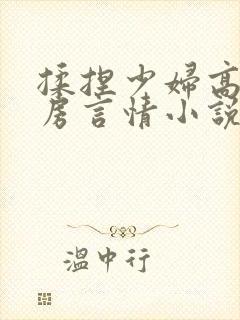 揉捏少妇高耸乳房言情小说