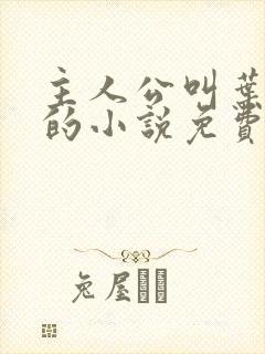 主人公叫叶北辰的小说免费阅读全文