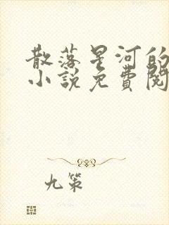 散落星河的记忆小说免费阅读全文封面