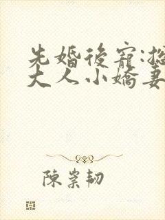 先婚后宠:总裁大人小娇妻